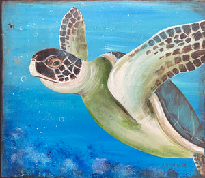 Sea Turtle Class