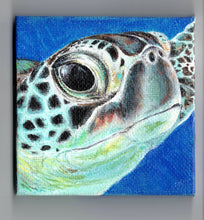 Load image into Gallery viewer, Sea Turtle
